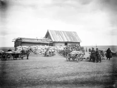 Неурожайный год. 1891-1892